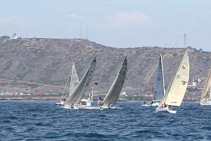 07YCup3144.JPG