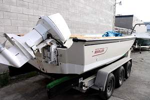 whaler02_resize.JPG