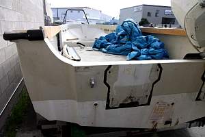 whaler03_resize.JPG